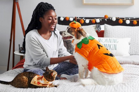 Γιατί το παιχνίδι είναι τόσο σημαντικό για τα κουτάβια;